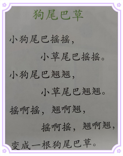 儿歌：狗尾巴草