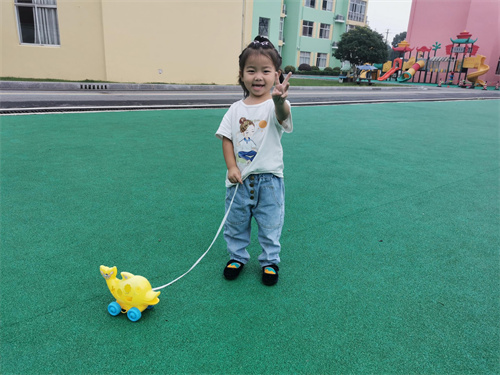 活动掠影