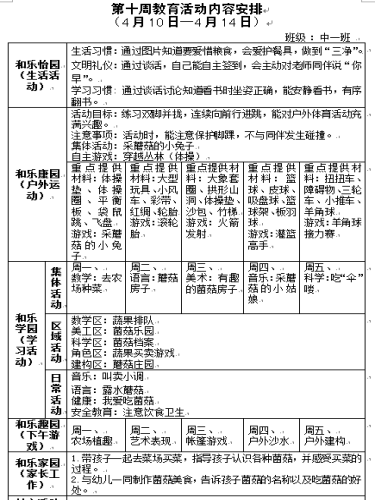 第十周教育活动内容安排