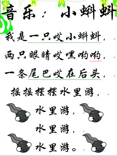 音乐：小蝌蚪
