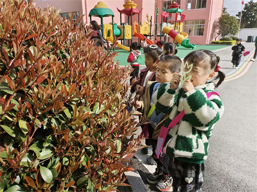 户外探索：春天的秘密