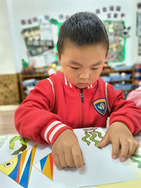 乐探索：大鱼和小鱼