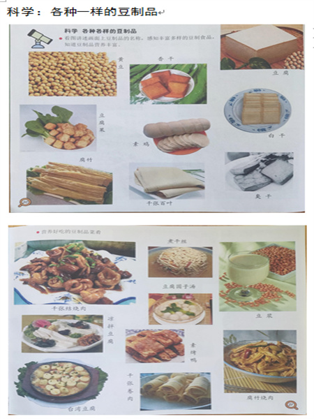 科学《各种各样的豆制品》