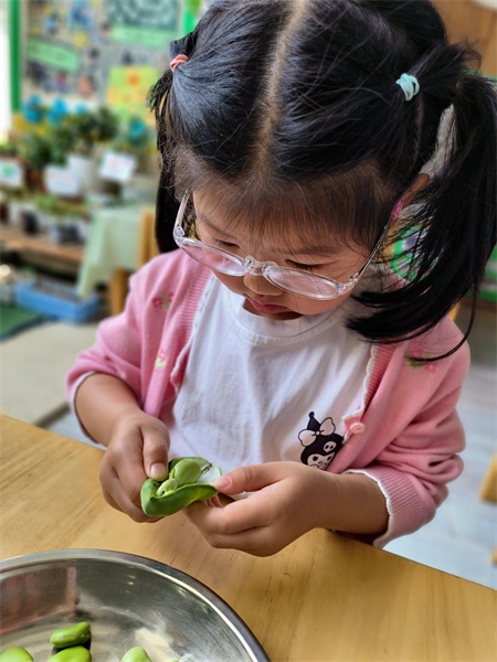 乐探索：剥豆豆