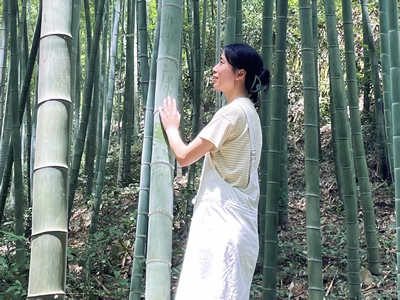 陡门分园：秦磊老师