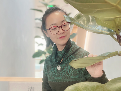 秦江红老师