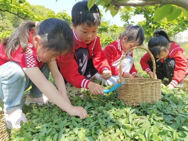石塘湾中心幼儿园：小脚丫探…